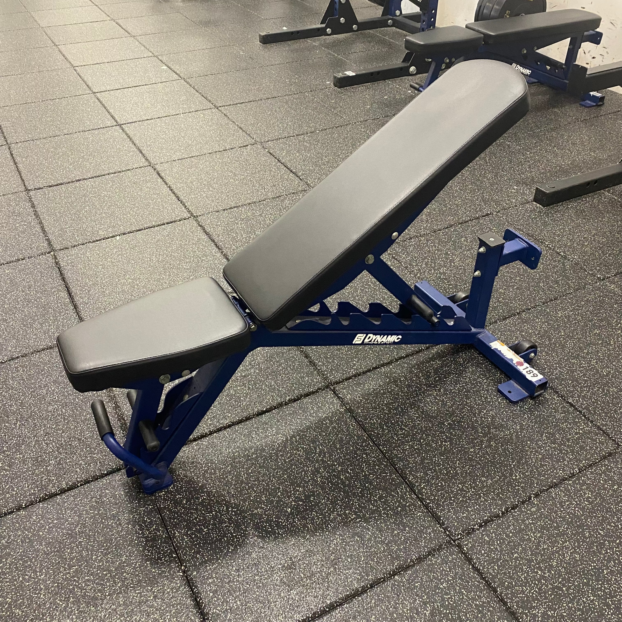 Dynamic Accell Stand Up Adjustable Bench