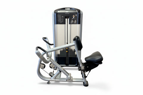 Precor Discovery Series Seated Row machine 