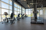 True_Fitness_Recumbent_Bike_R900_Envision_16_LCD.2
