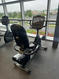 True_Fitness_Recumbent_Bike_R900_Envision_16_LCD.3