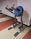 Angled back pad on Life Fitness LSR for lower back support during leg raises
