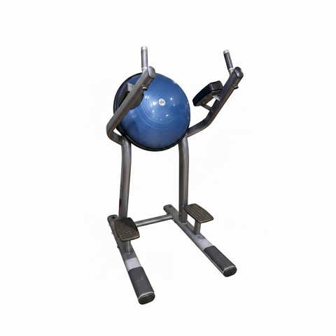Life Fitness Signature Series LSR Leg Raise Dip station full unit in Signature grey