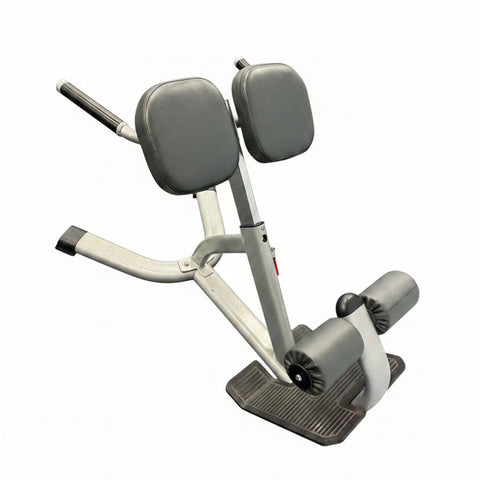 Star Trac 45 Degree Back Extension model IN-B7502 commercial hyperextension bench with thick thigh pads and ankle rollers, $325 firm, Lancaster PA