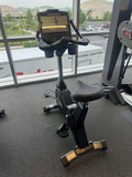 true-fitness-u900-upright-bike-envision-16-console.1
