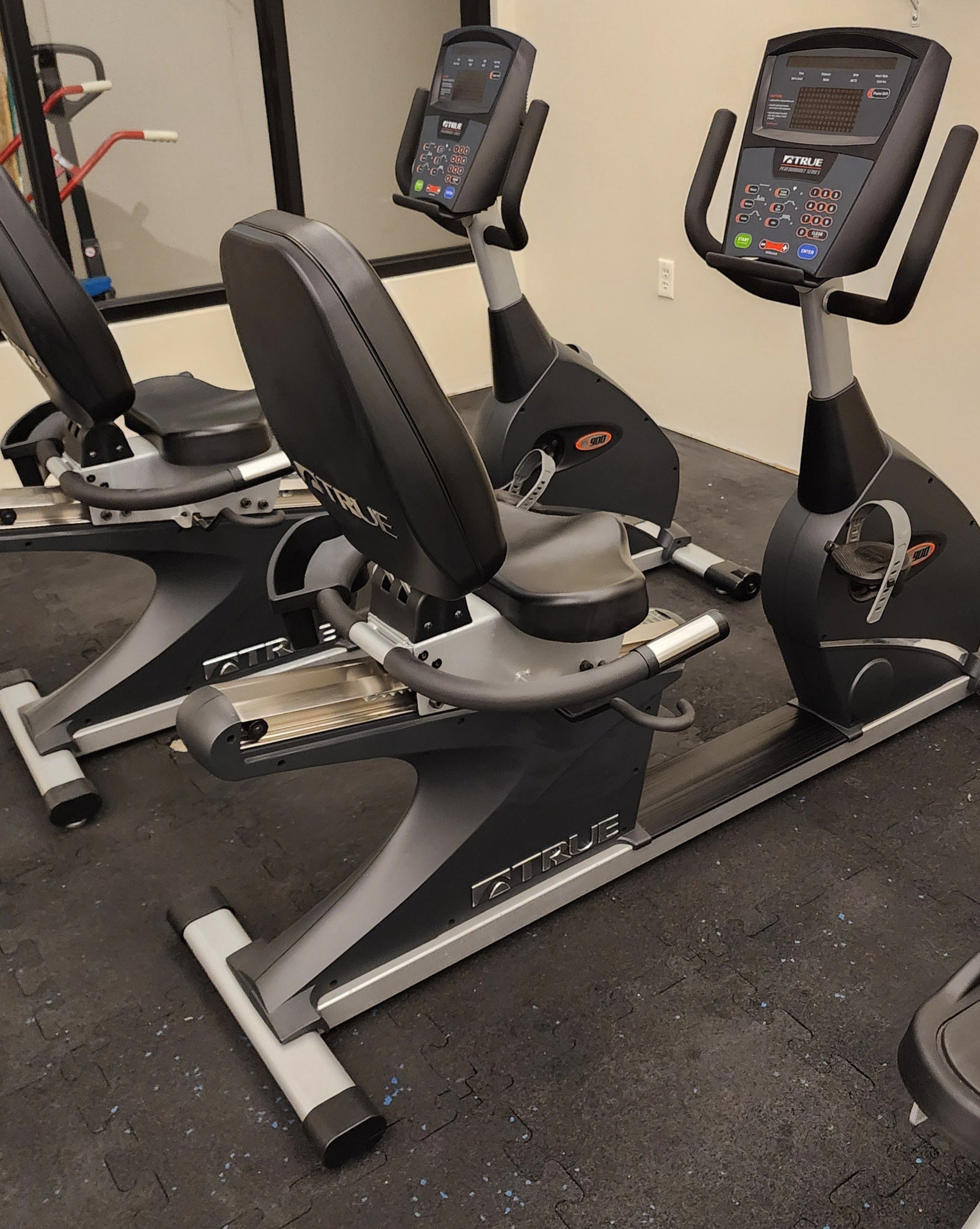 True Fitness Recumbent Exercise Bike PS900