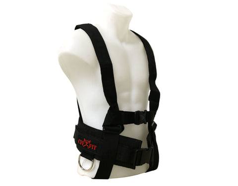 SLED HARNESS