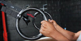 gym ring rows